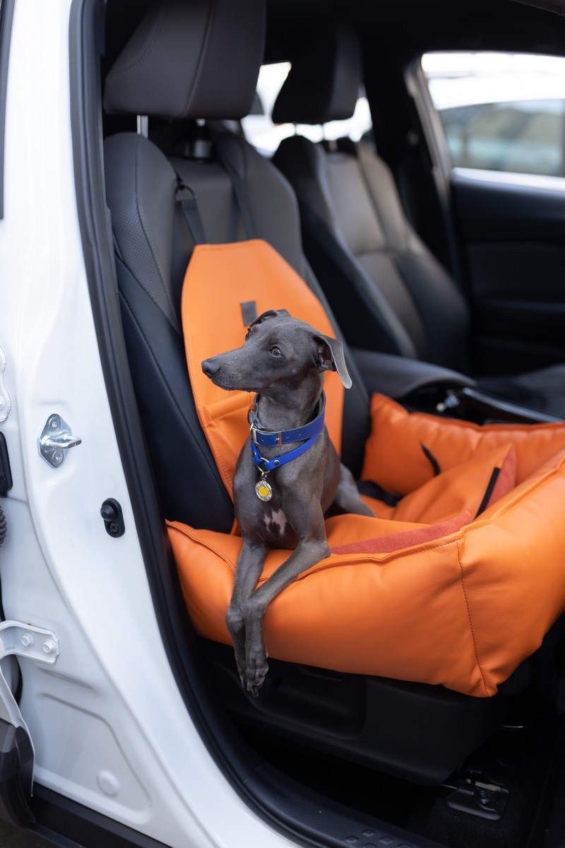 АВТОКРЕСЛО ДЛЯ СОБАКИ RELAXED LEATHER ORANGE