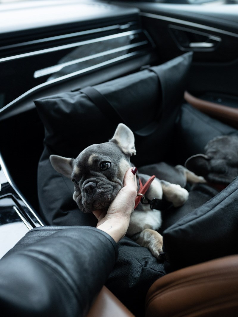 АВТОКРІСЛО ДЛЯ СОБАКИ MALU DOUBLE BLACK