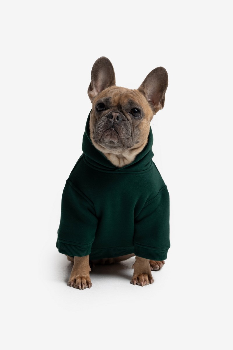 GREEN ХУДИ CLASSIC ДЛЯ ПЕСИКА