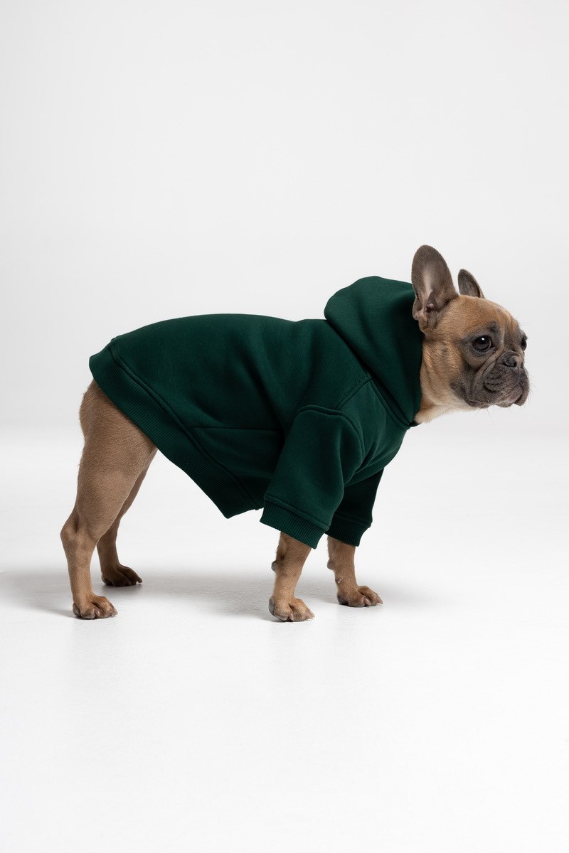 GREEN ХУДИ CLASSIC ДЛЯ ПЕСИКА