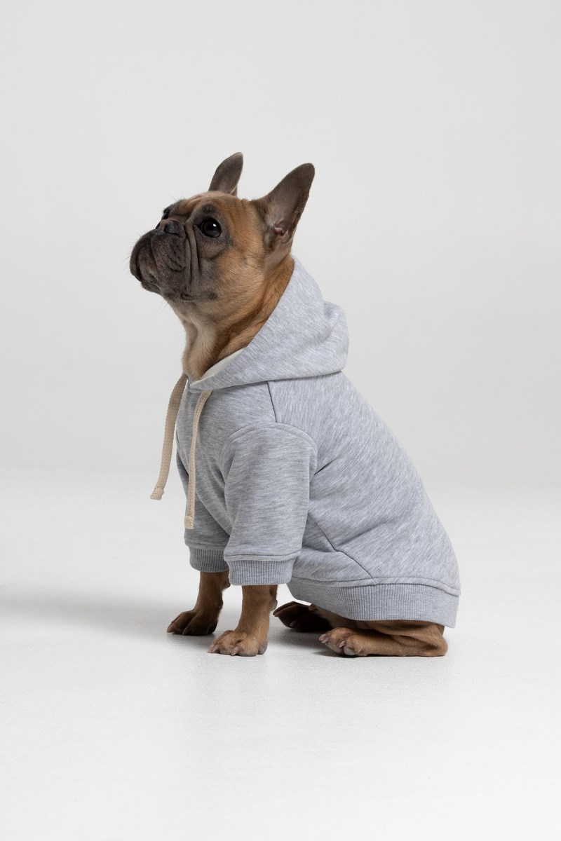 GREY ХУДИ COMBO ДЛЯ ПЕСИКА