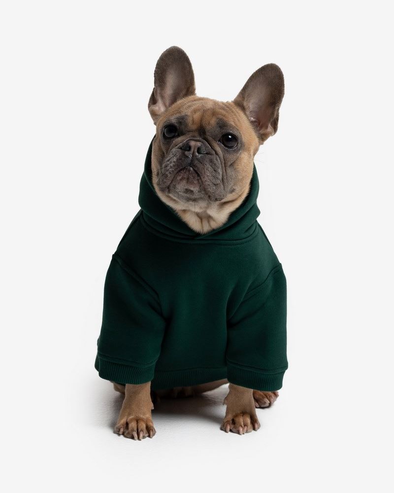 GREEN ХУДИ CLASSIC ДЛЯ ПЕСИКА