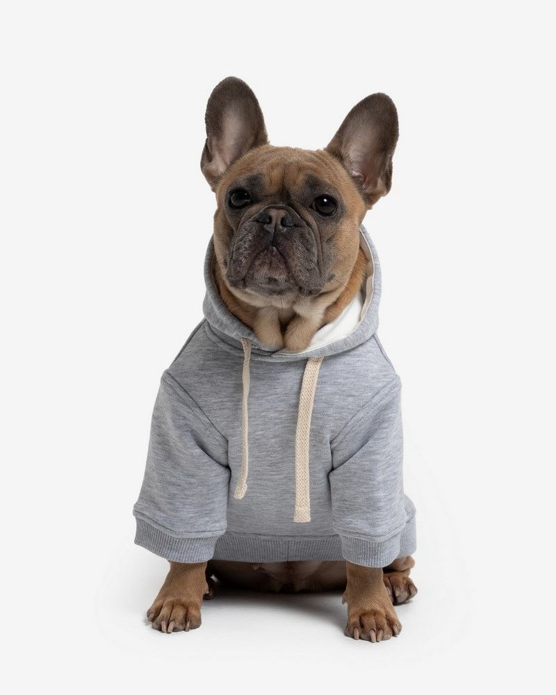 GREY ХУДИ COMBO ДЛЯ ПЕСИКА