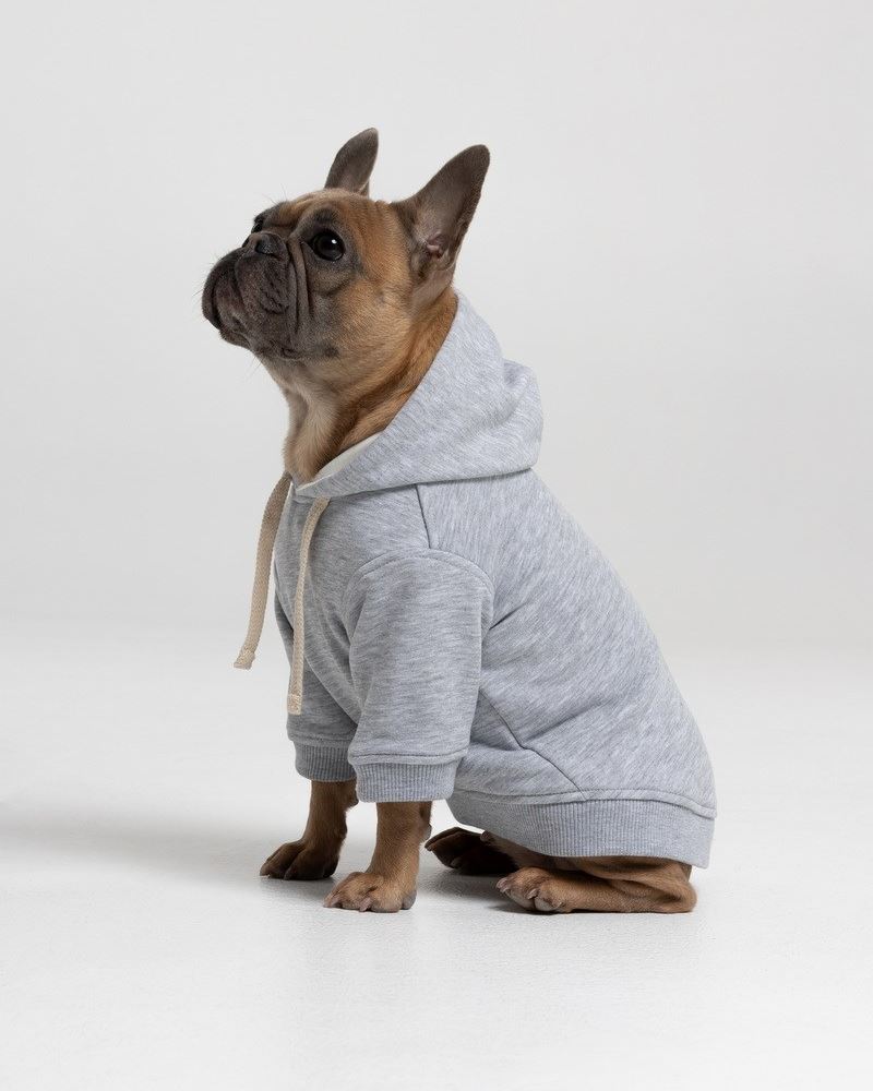 GREY ХУДИ COMBO ДЛЯ ПЕСИКА