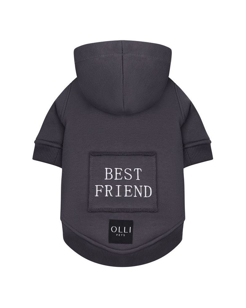 GRAPHITE ХУДИ BEST FRIEND ДЛЯ ПЕСИКА